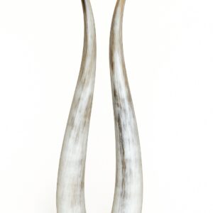 Standing Central Republic Horns