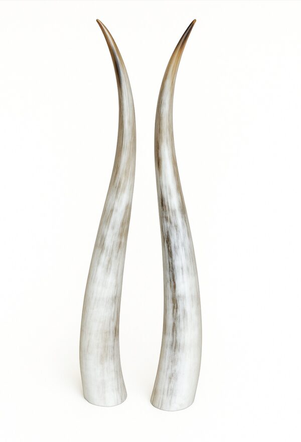 Standing Central Republic Horns
