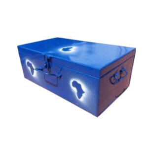 Small Metallic School Case