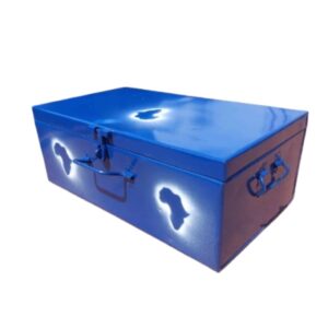 Small Metallic School Case