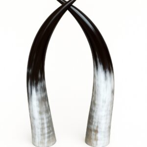 Medium Standing Horns