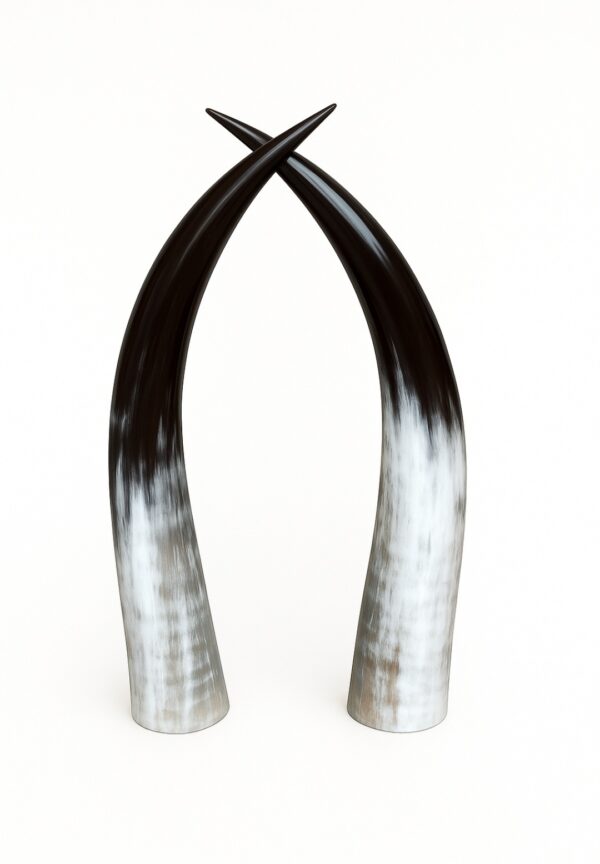 Medium Standing Horns