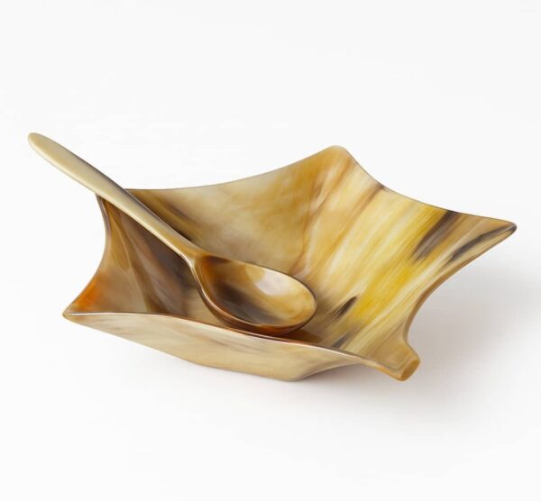 Horn Star Bowl