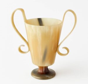 Decorative Cow Horn Trophy