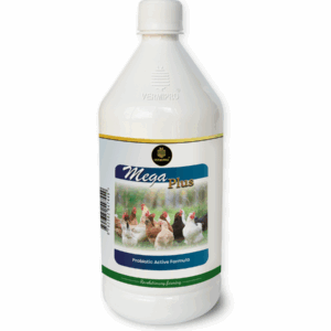 Mega Plus Probiotic Active Formula