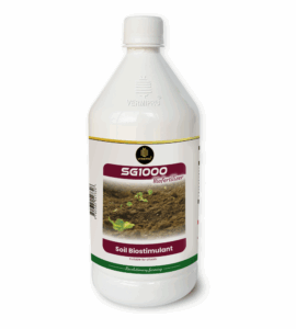 SG 1000 Soil Biostimulous
