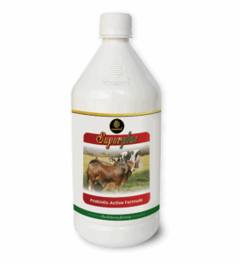 Superplus Probiotic Active Formula