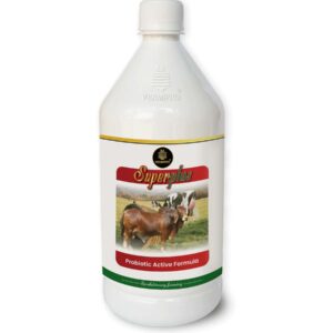 Superplus Probiotic Active Formula- 1L