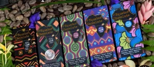 The Equator Chocolate Ugandan Discovery Box (Mixed 12-Pack)